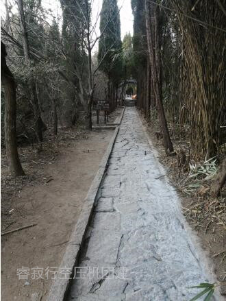 睿寂行空壓機團建